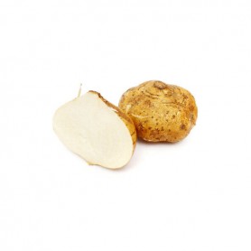 JICAMA