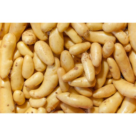 POTATOE 5LB. BAG