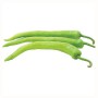  LONG GREEN CHILE