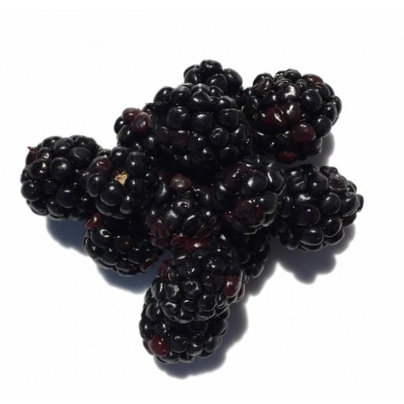 BLACKBERRIES