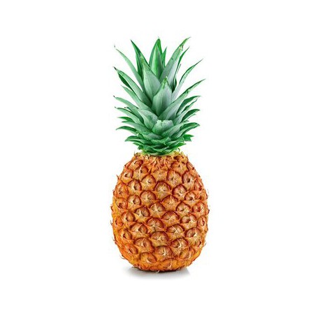 PINEAPPLE - GOLDEN EACH