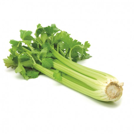 CELERY - SLEEVE EACH