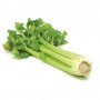 CELERY - SLEEVE EACH