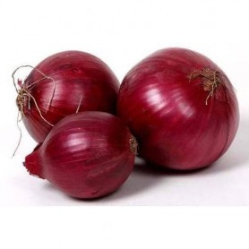 ONIONS RED