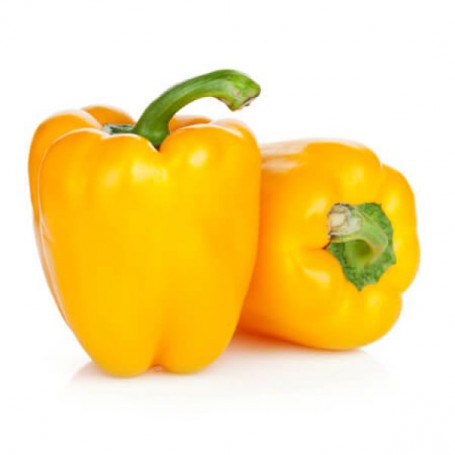 YELLOW BELL PEPPER
