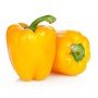 YELLOW BELL PEPPER