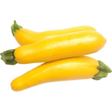 SQUASH CALABAZA 