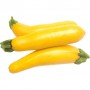 SQUASH CALABAZA 