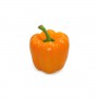 ORANGE BELL PEPPER EACH