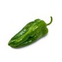 POBLANO PEPPER