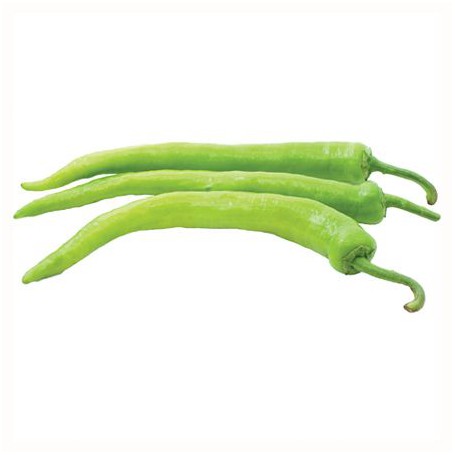  LONG GREEN CHILE
