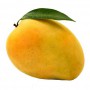 MANGO - LARGE