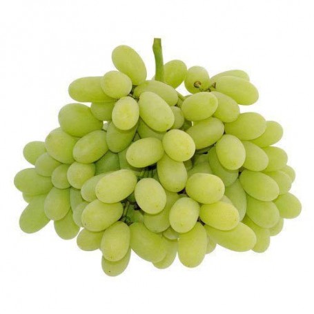 2 LB. GRAPE 