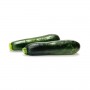 FANCY ZUCCHINI SQUASH 1LB