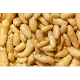 POTATOE 5LB. BAG
