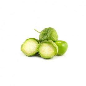 TOMATILLO