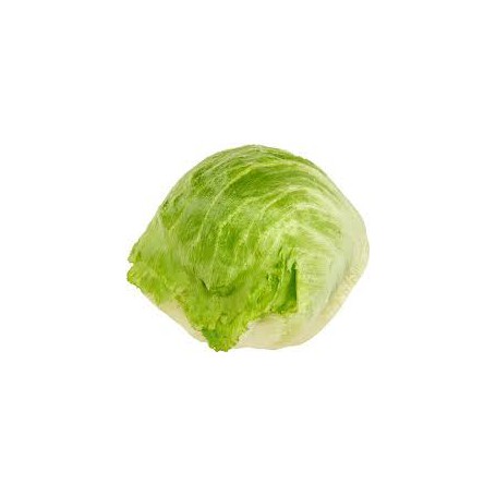 Lettuce- Each