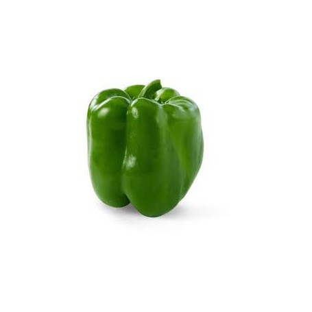 BELL PEPPER 