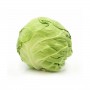 CABBAGE GREEN