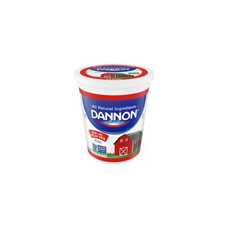 YOGURT WH PLAIN