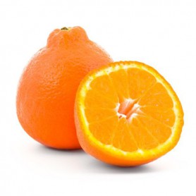 MANDARINS