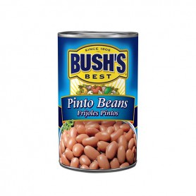 16 OZ BUSHS PINTO BEANS