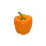 ORANGE BELL PEPPER EACH