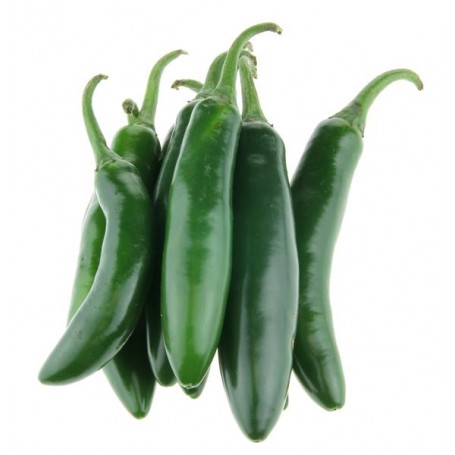 SERRANO PEPPER EA