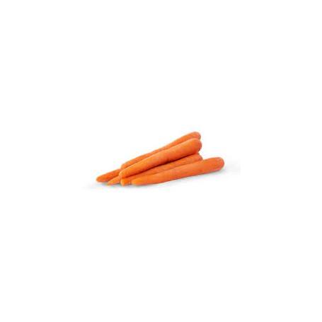 Carrots 1LB Bags