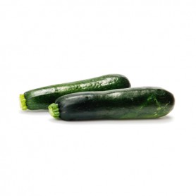 Zucchini (Calavaza)