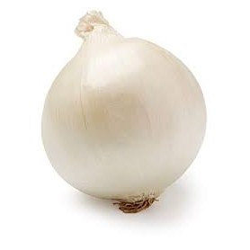 WHITE ONION