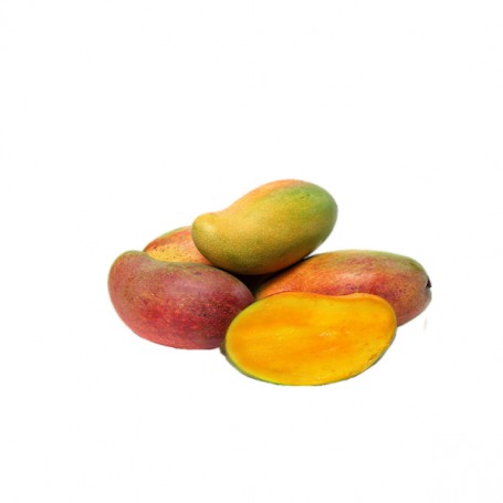 MANGO SINGLE 9'