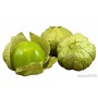 Tomatillo