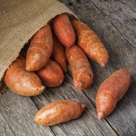 Sweet Potato Single