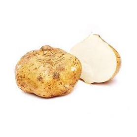 Jicama