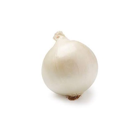 White Onion