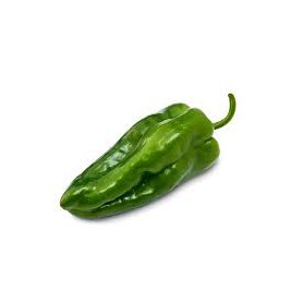 Poblano Pepper